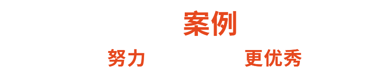 成功案例